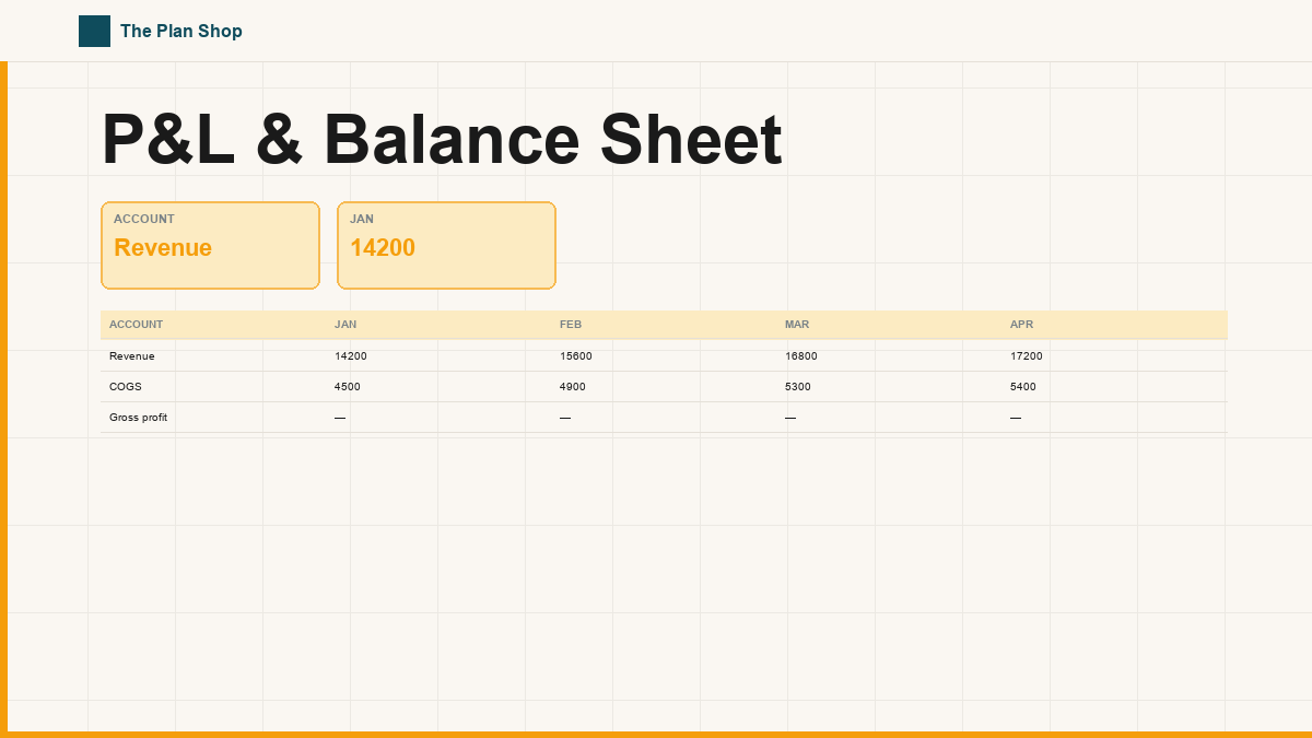 P&L & Balance Sheet
